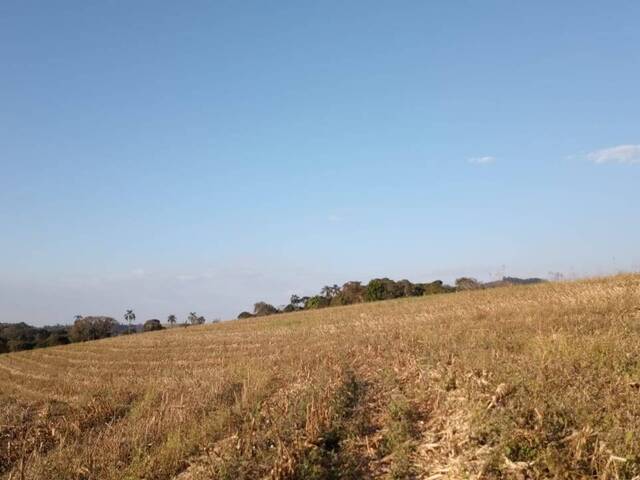 #TR0043 - Terreno para Venda em Bragança Paulista - SP - 3