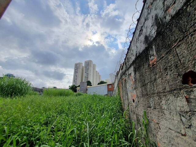 #TR0053 - Terreno para Venda em Guarulhos - SP - 2