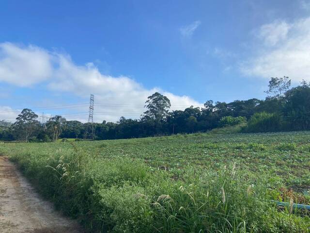 #TR0063 - Terreno para  em Suzano - SP - 1