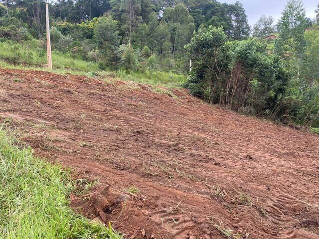 Terreno para Venda em Santa Isabel - 4