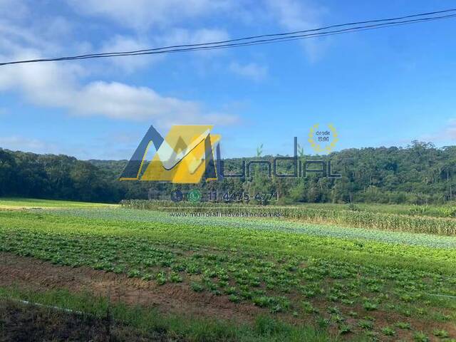 Venda em parque santa rosa - Suzano