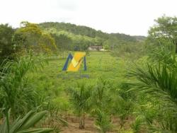 Terreno para Venda em Suzano - 5