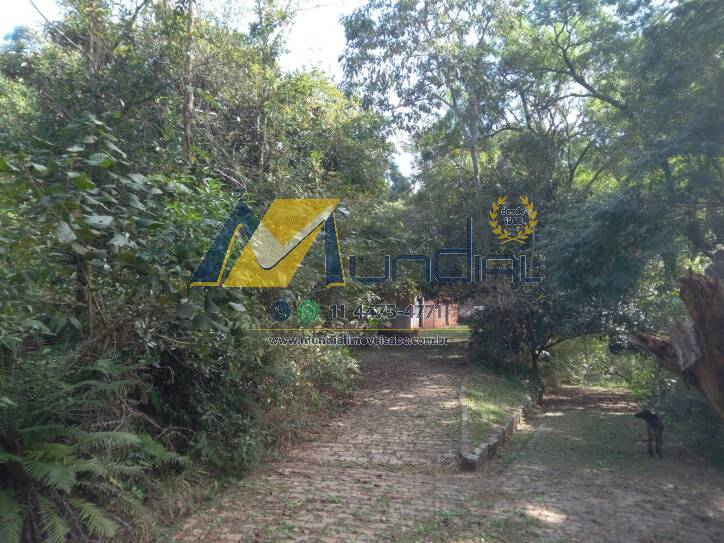 Terreno, 10 hectares - Foto 7