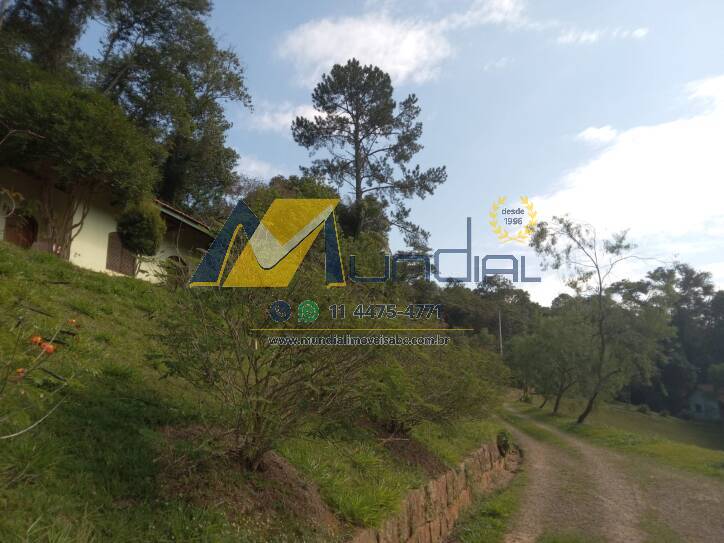 Terreno, 10 hectares - Foto 11