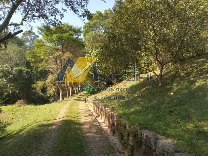 Terreno, 10 hectares - Foto 24