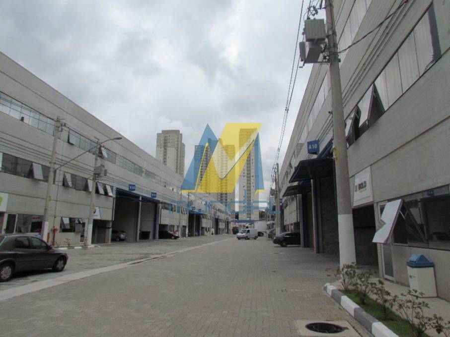 Terreno, 7474 m² - Foto 4