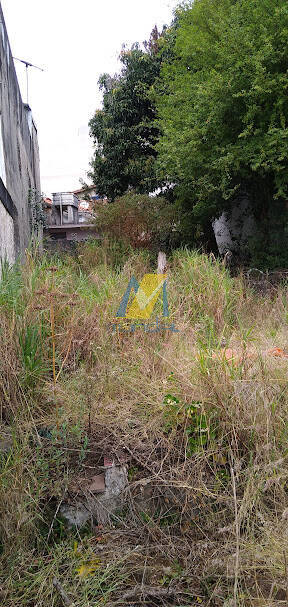 Terreno, 256 m² - Foto 1