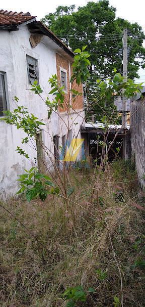 Terreno, 256 m² - Foto 3