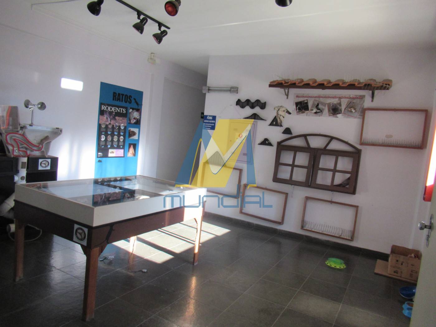 Prédio Inteiro, 2000 m² - Foto 38