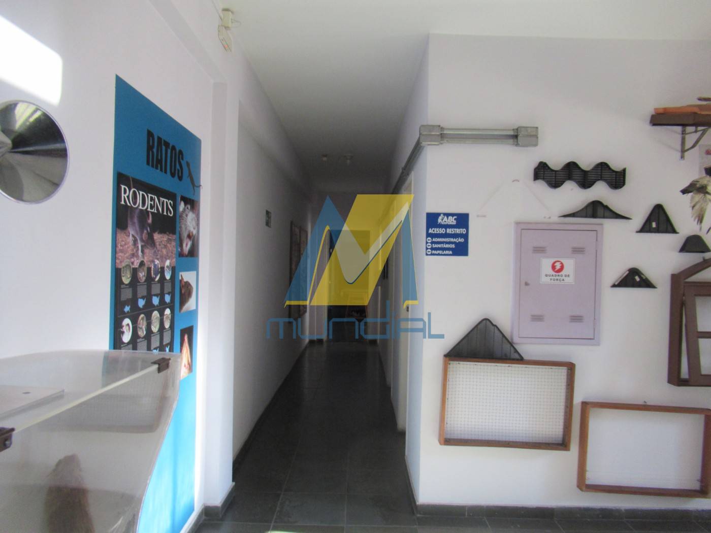 Prédio Inteiro, 2000 m² - Foto 39