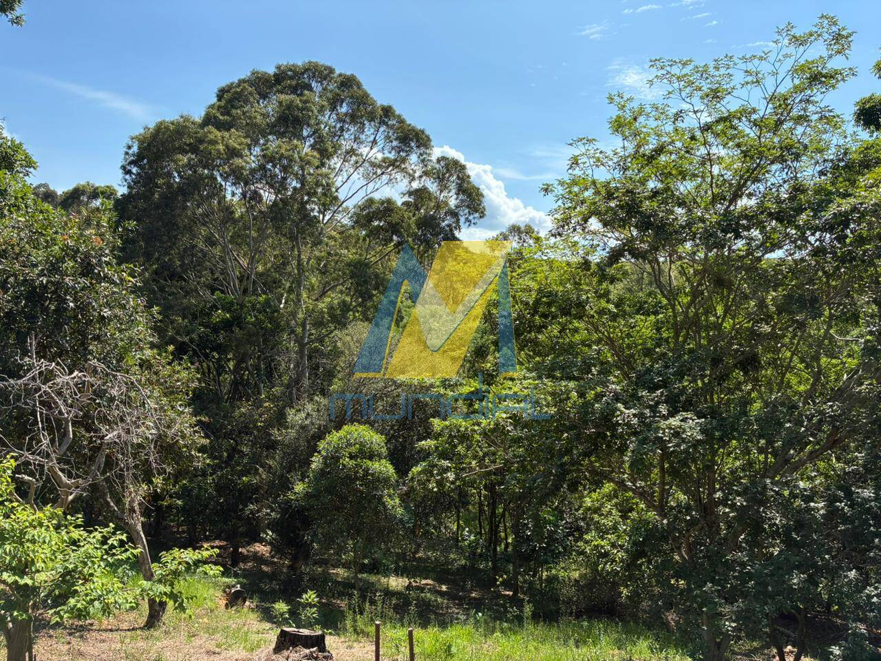 Sítio, 5 quartos - Foto 16