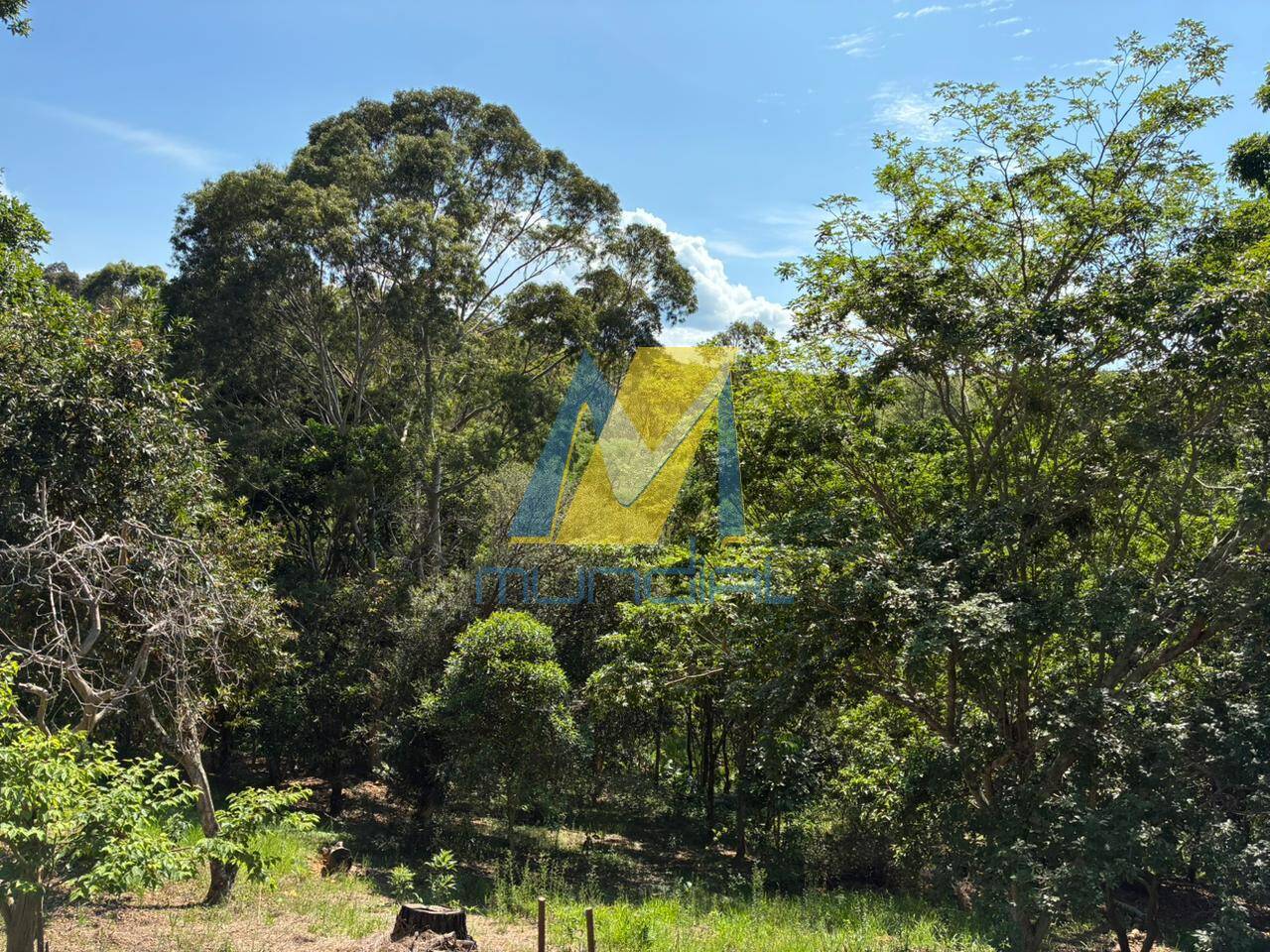 Sítio, 5 quartos - Foto 18