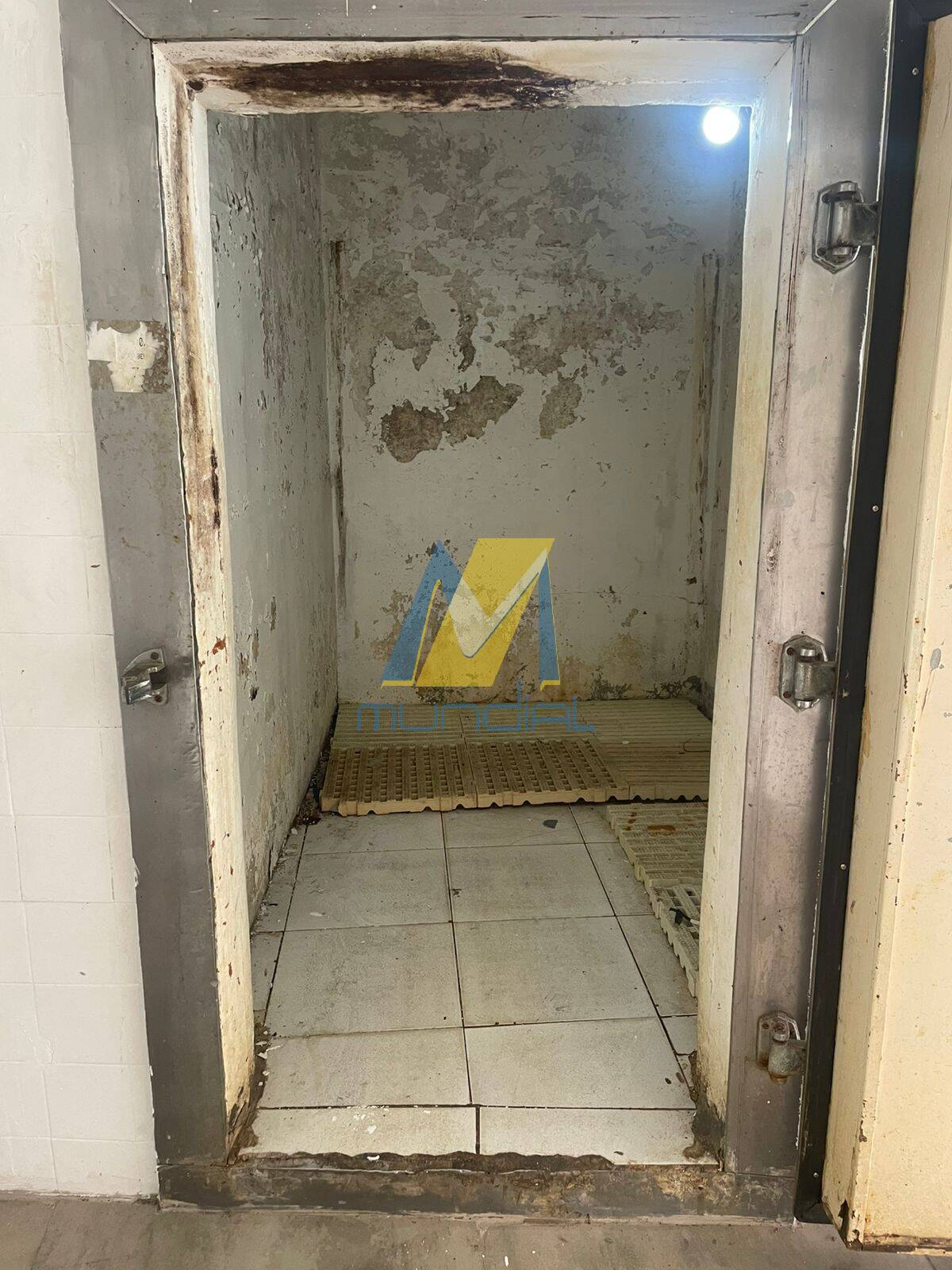 Loja-Salão, 33 m² - Foto 4