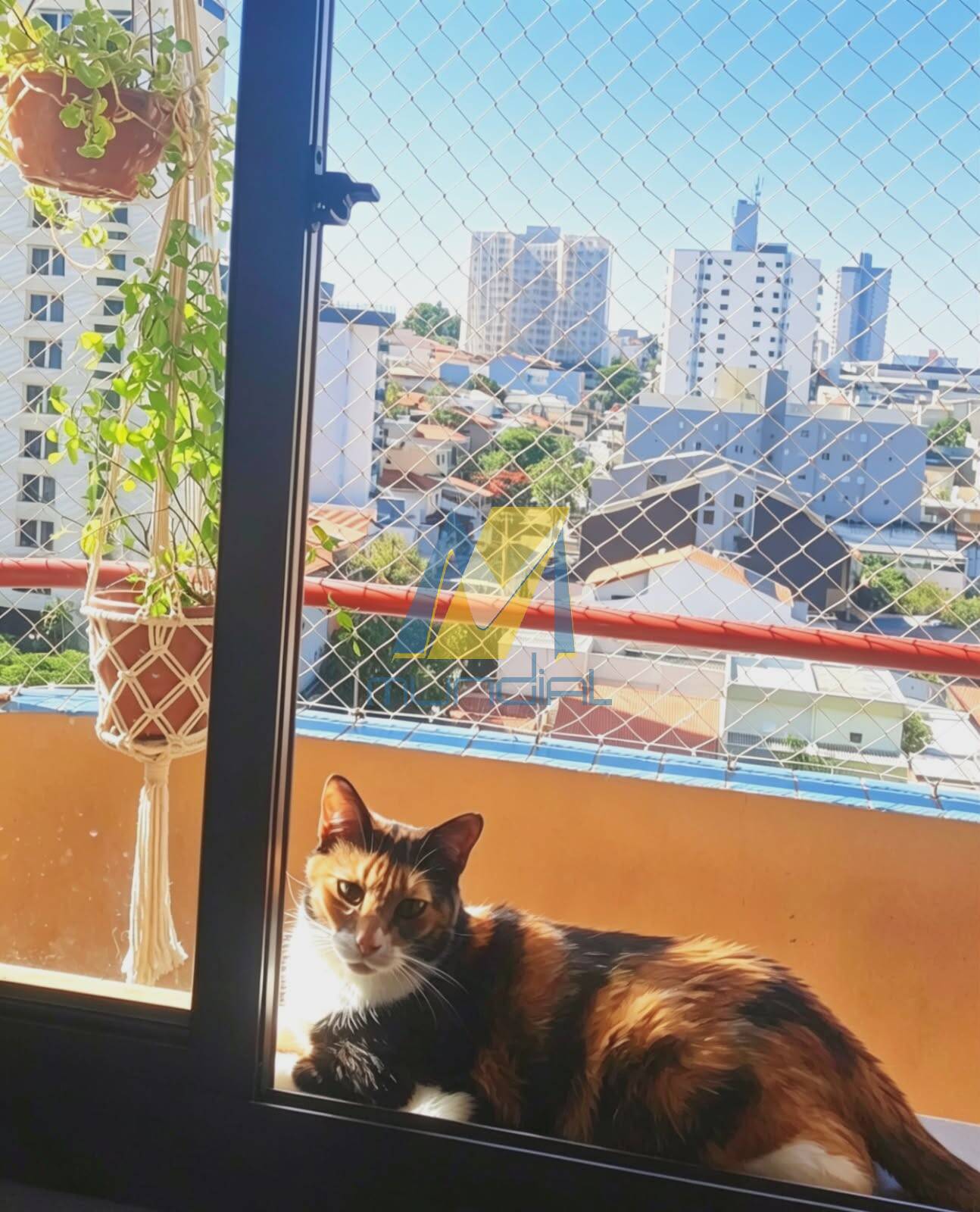 Apartamento, 3 quartos - Foto 8