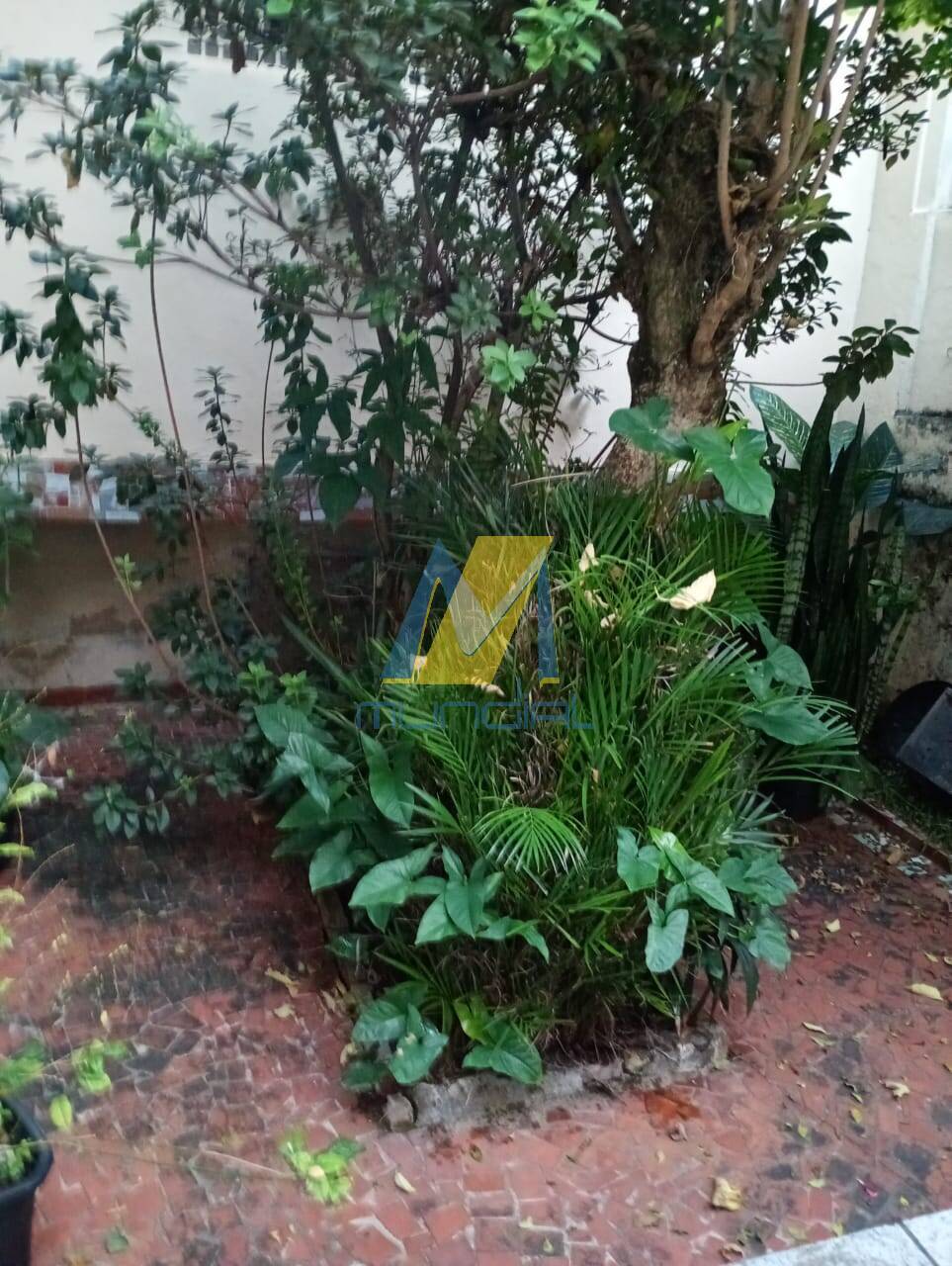 Terreno, 240 m² - Foto 4