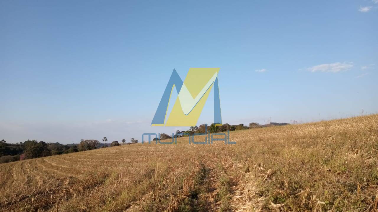 Terreno, 2 hectares - Foto 3