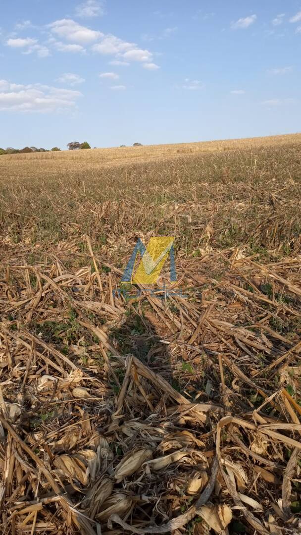 Terreno, 2 hectares - Foto 4