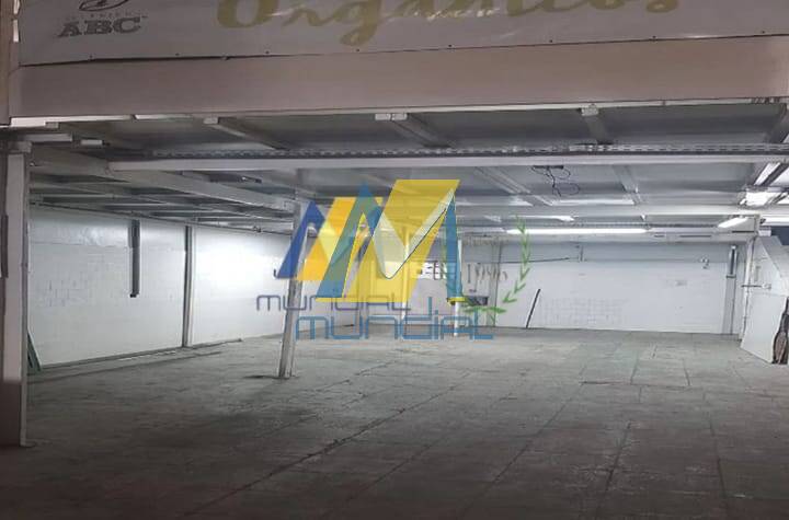 Sala-Conjunto, 250 m² - Foto 6
